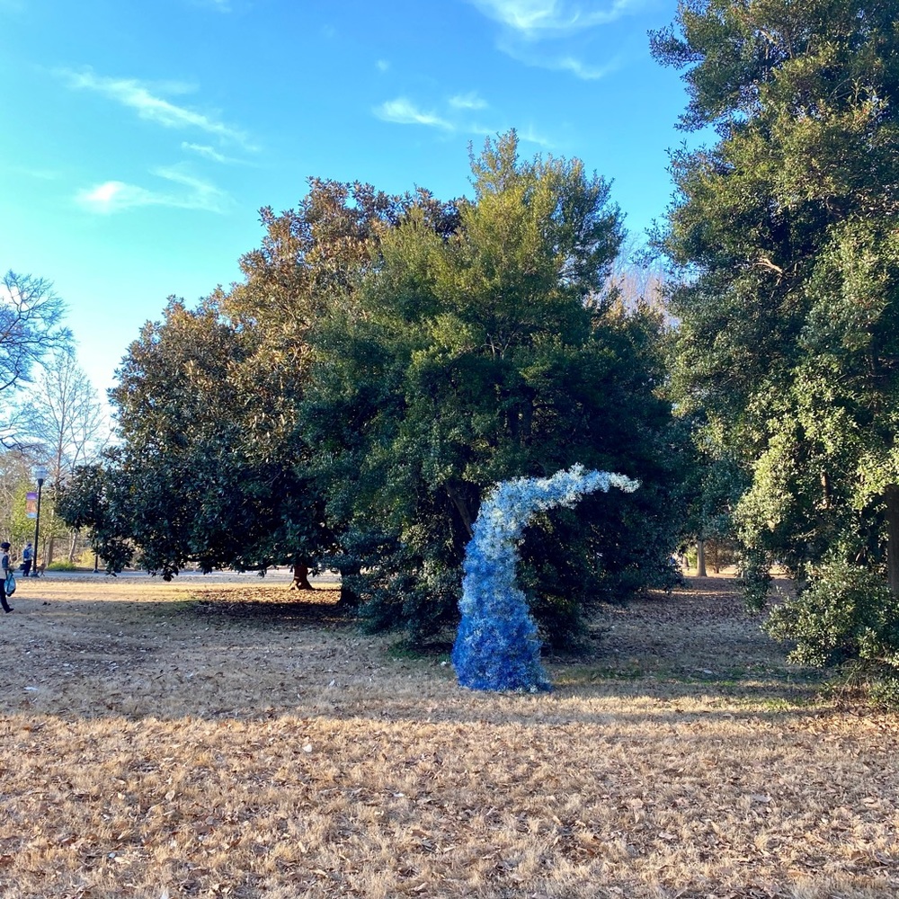 Meet your Posher, Asma